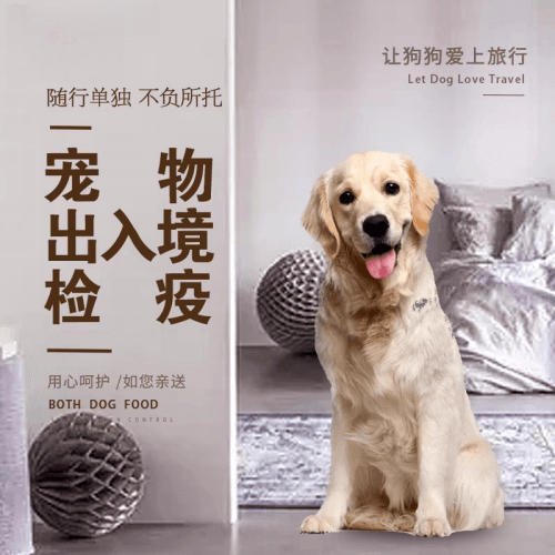 东城区宠物托运到哥伦比亚猫狗宠物入境规定和