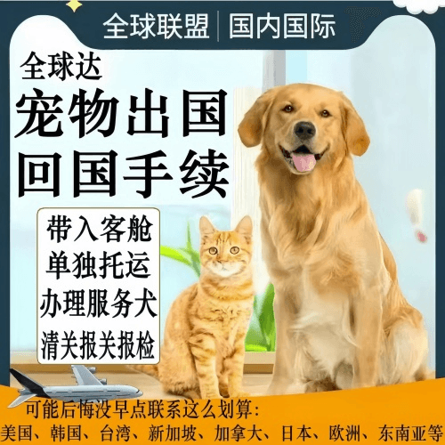 东城区宠物托运到柬埔寨宠物入境规定和要求