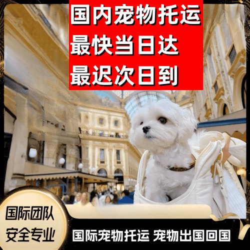 东城区到澳大利亚（澳洲）宠物入境规定和要求