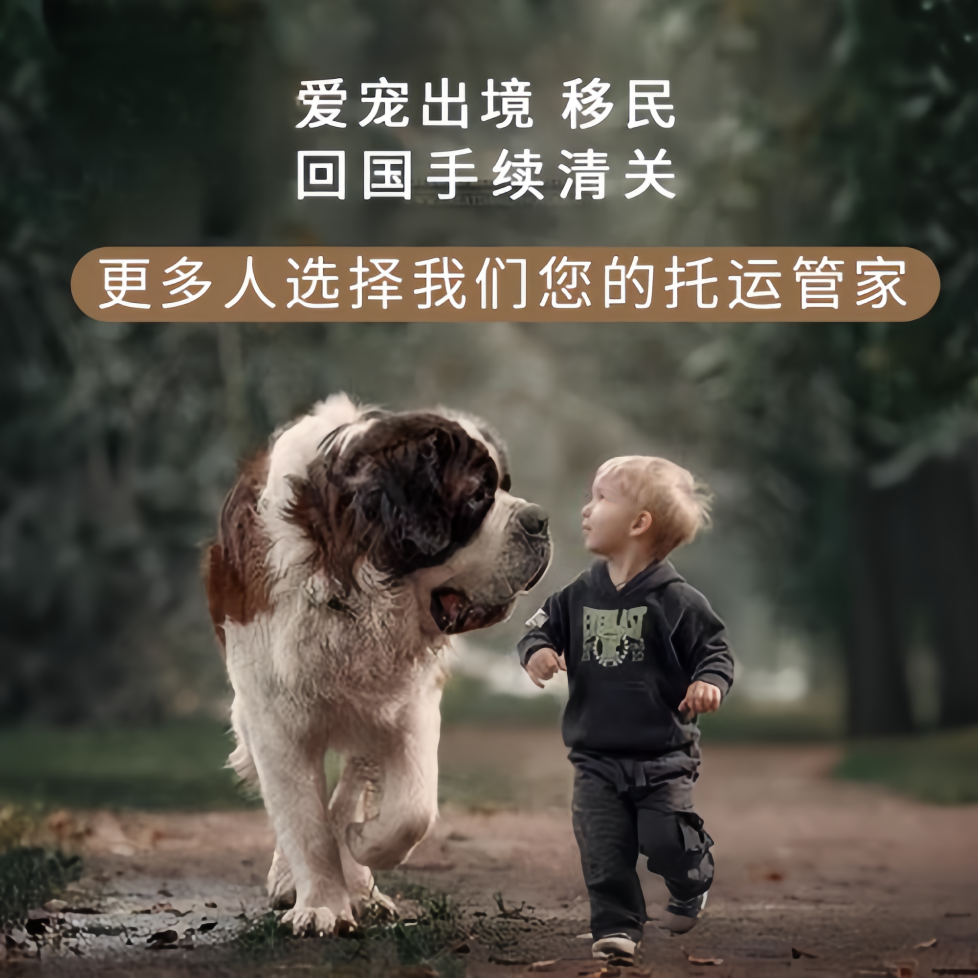 满财东城区宠物全球达宠物托运在遵守入境目的地政策的条件