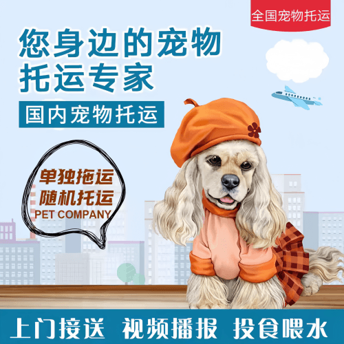 满财东城区宠物全球达宠物托运作为专业的宠物运输代理机构